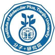 分子+研究院